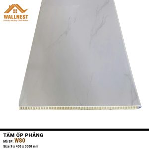 Tấm ốp phẳng W80